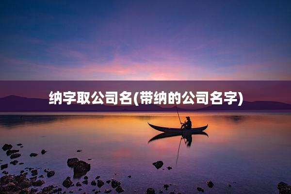 纳字取公司名(带纳的公司名字)