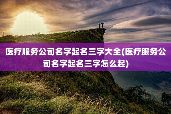 医疗服务公司名字起名三字大全(医疗服务公司名字起名三字怎么起)