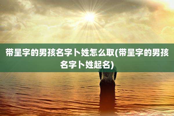 带呈字的男孩名字卜姓怎么取(带呈字的男孩名字卜姓起名)