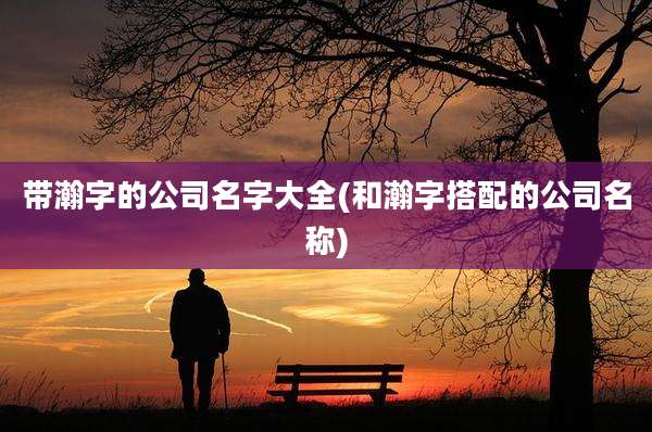 带瀚字的公司名字大全(和瀚字搭配的公司名称)
