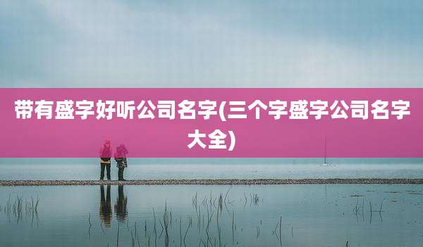 带有盛字好听公司名字(三个字盛字公司名字大全)