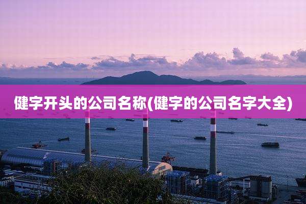 健字开头的公司名称(健字的公司名字大全)