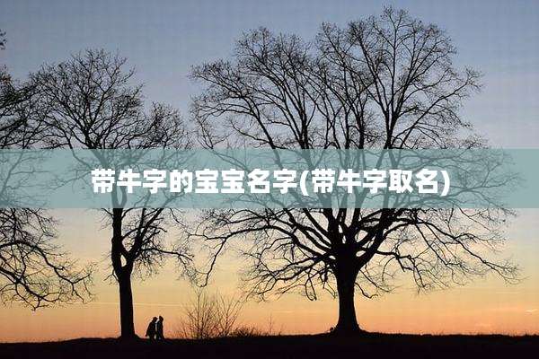 带牛字的宝宝名字(带牛字取名)