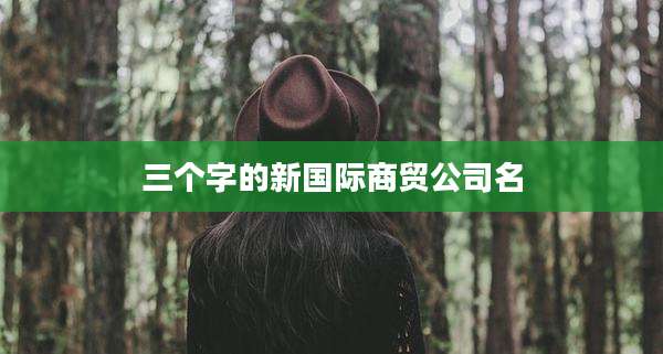 三个字的新国际商贸公司名