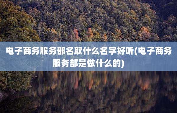 电子商务服务部名取什么名字好听(电子商务服务部是做什么的)