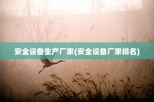 安全设备生产厂家(安全设备厂家排名)
