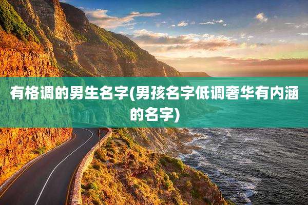 有格调的男生名字(男孩名字低调奢华有内涵的名字)