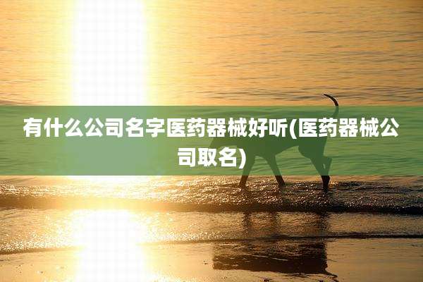有什么公司名字医药器械好听(医药器械公司取名)