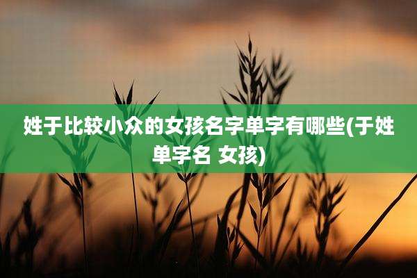 姓于比较小众的女孩名字单字有哪些(于姓单字名 女孩)