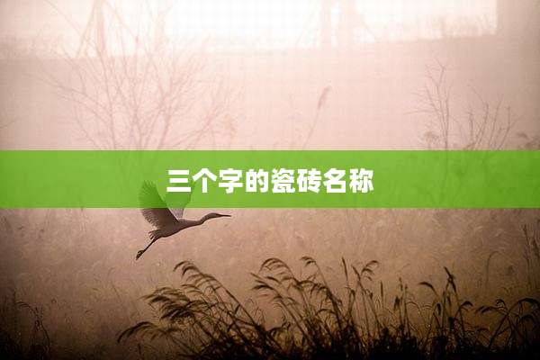 三个字的瓷砖名称