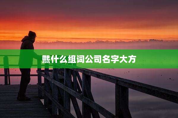 熙什么组词公司名字大方