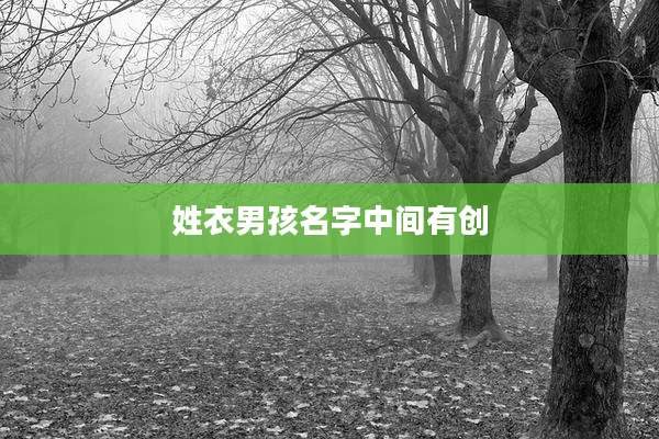 姓衣男孩名字中间有创