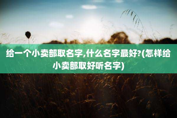 给一个小卖部取名字,什么名字最好?(怎样给小卖部取好听名字)