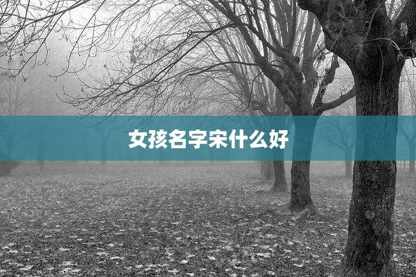 女孩名字宋什么好