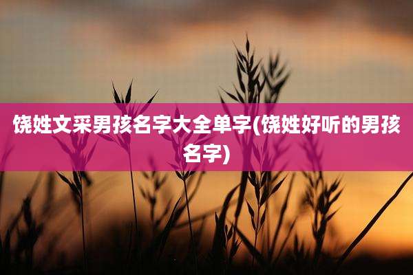 饶姓文采男孩名字大全单字(饶姓好听的男孩名字)