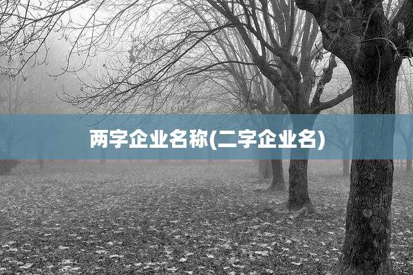 两字企业名称(二字企业名)