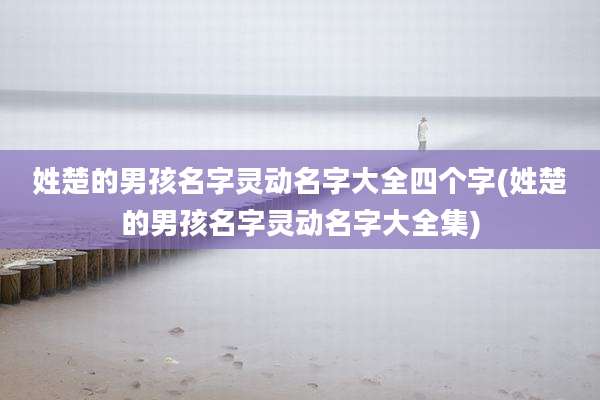 姓楚的男孩名字灵动名字大全四个字(姓楚的男孩名字灵动名字大全集)