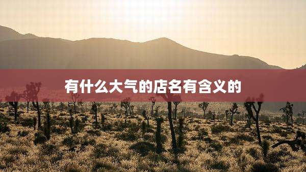 有什么大气的店名有含义的