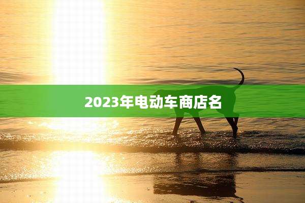 2023年电动车商店名