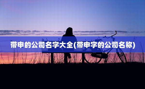 带申的公司名字大全(带申字的公司名称)