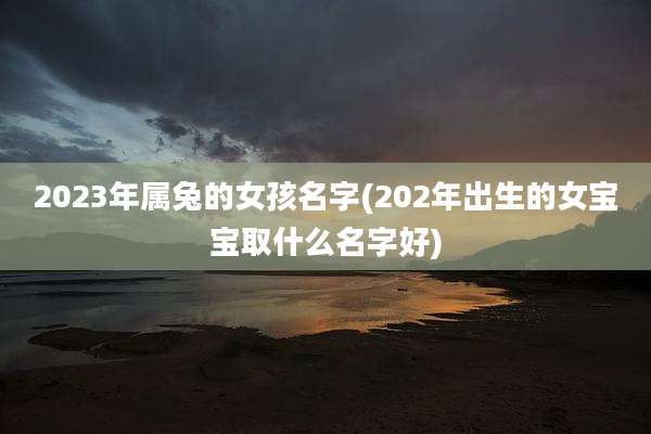 2023年属兔的女孩名字(202年出生的女宝宝取什么名字好)