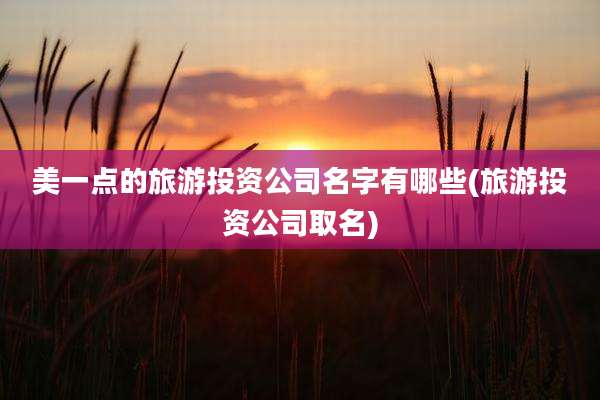 美一点的旅游投资公司名字有哪些(旅游投资公司取名)