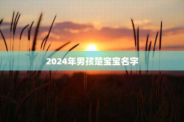 2024年男孩楚宝宝名字