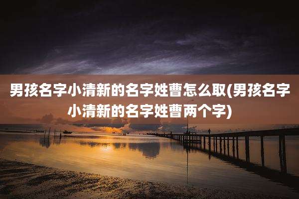 男孩名字小清新的名字姓曹怎么取(男孩名字小清新的名字姓曹两个字)