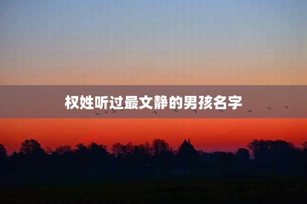 权姓听过最文静的男孩名字