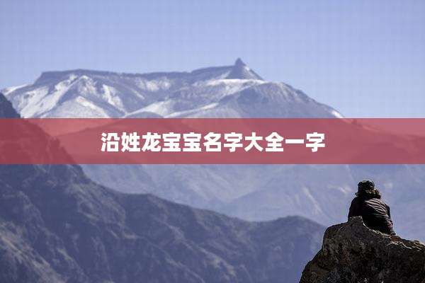 沿姓龙宝宝名字大全一字