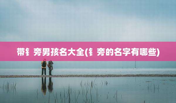 带钅旁男孩名大全(钅旁的名字有哪些)