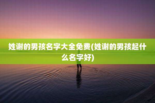姓谢的男孩名字大全免费(姓谢的男孩起什么名字好)