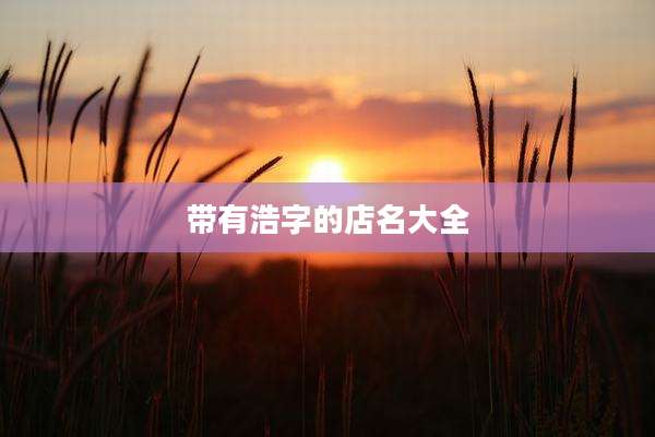 带有浩字的店名大全