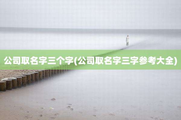 公司取名字三个字(公司取名字三字参考大全)