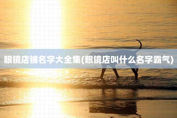 眼镜店铺名字大全集(眼镜店叫什么名字霸气)