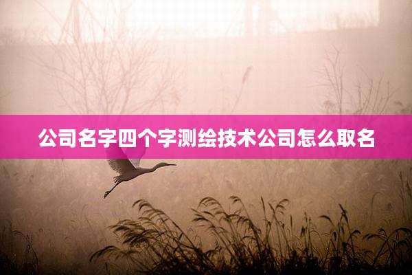 公司名字四个字测绘技术公司怎么取名