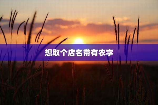 想取个店名带有农字
