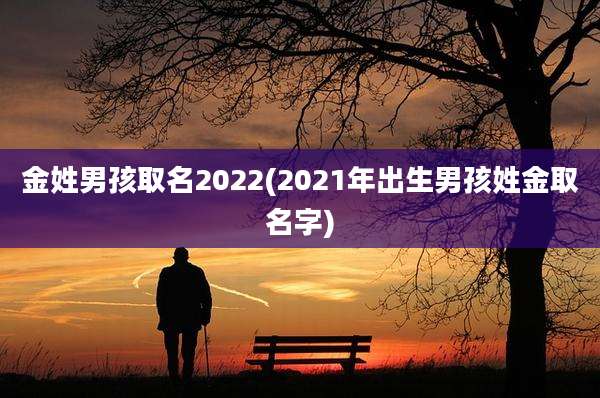 金姓男孩取名2022(2021年出生男孩姓金取名字)