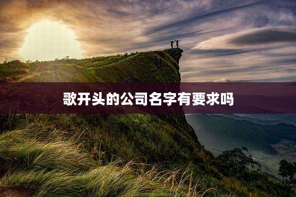 歌开头的公司名字有要求吗