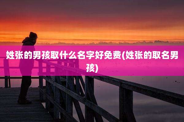 姓张的男孩取什么名字好免费(姓张的取名男孩)