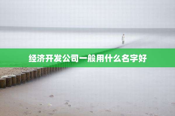 经济开发公司一般用什么名字好