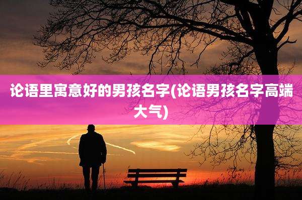 论语里寓意好的男孩名字(论语男孩名字高端大气)