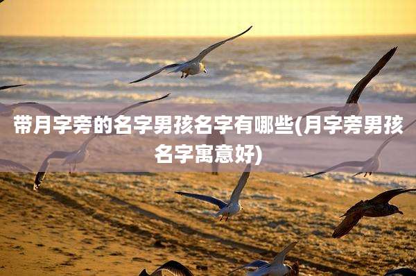带月字旁的名字男孩名字有哪些(月字旁男孩名字寓意好)
