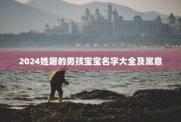 2024姓屠的男孩宝宝名字大全及寓意