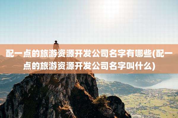 配一点的旅游资源开发公司名字有哪些(配一点的旅游资源开发公司名字叫什么)