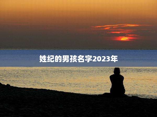 姓纪的男孩名字2023年