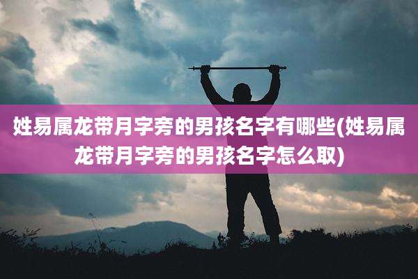 姓易属龙带月字旁的男孩名字有哪些(姓易属龙带月字旁的男孩名字怎么取)