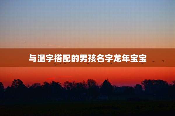 与温字搭配的男孩名字龙年宝宝
