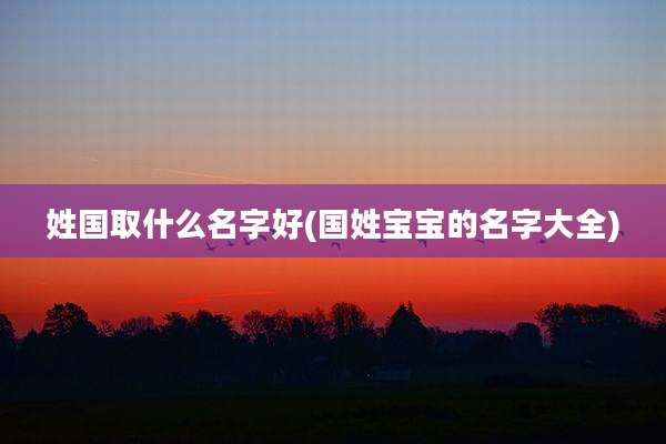 姓国取什么名字好(国姓宝宝的名字大全)