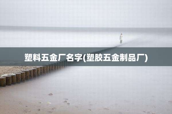 塑料五金厂名字(塑胶五金制品厂)